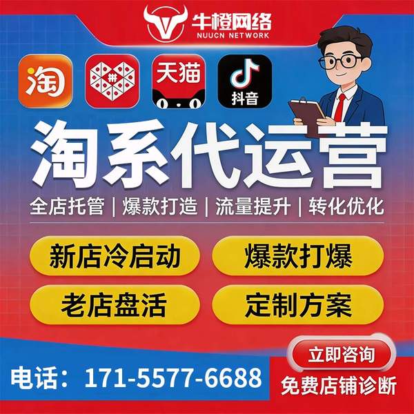 沈阳电商代运营