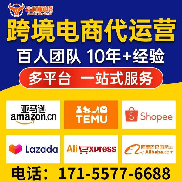 沈阳电商代运营
