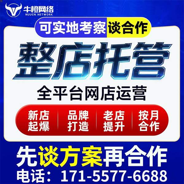 沈阳电商代运营