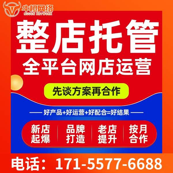 沈阳电商代运营