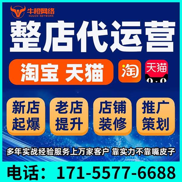 沈阳电商代运营