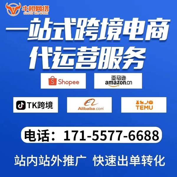 沈阳电商代运营