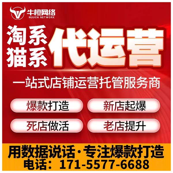 沈阳电商代运营